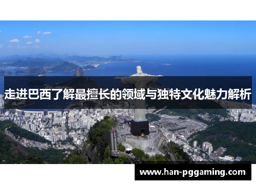 走进巴西了解最擅长的领域与独特文化魅力解析