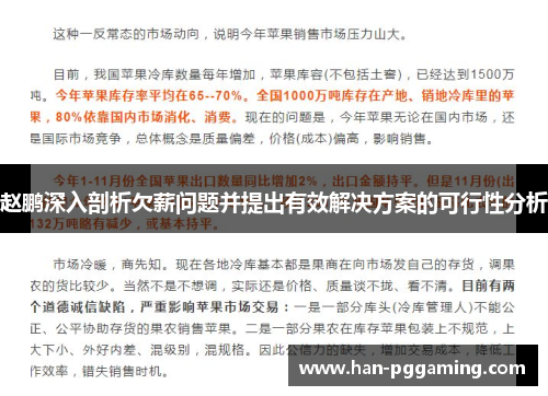 赵鹏深入剖析欠薪问题并提出有效解决方案的可行性分析
