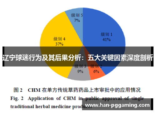 辽宁球迷行为及其后果分析：五大关键因素深度剖析